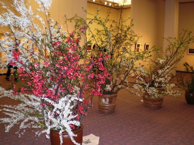 �M��������