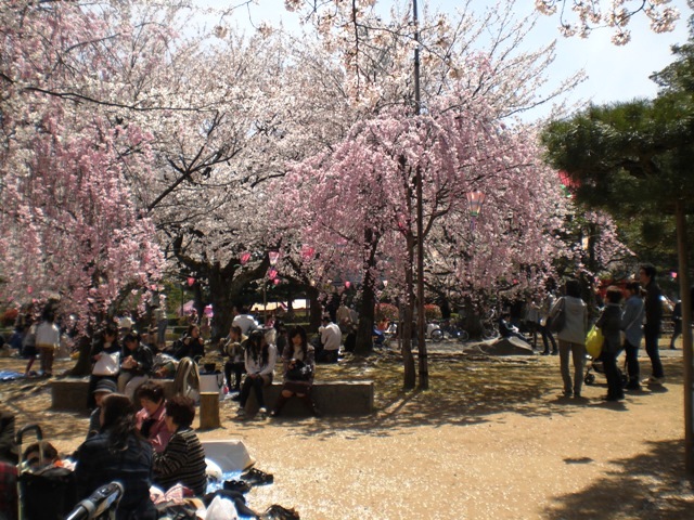 ��������̂�����