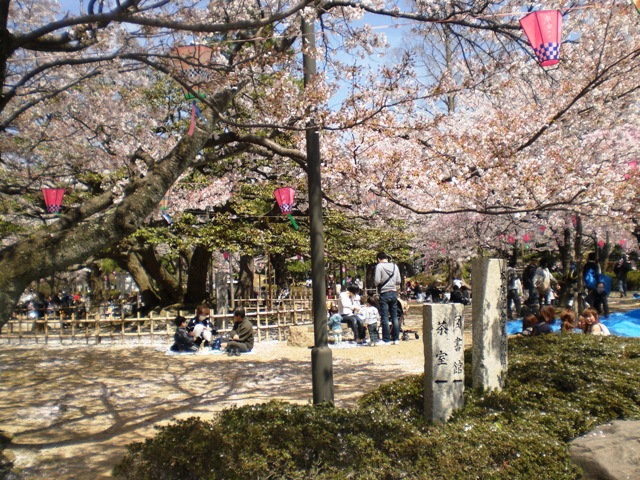 ���J�̂�����