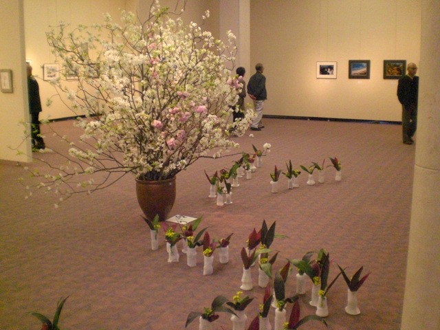 �������E�I���m