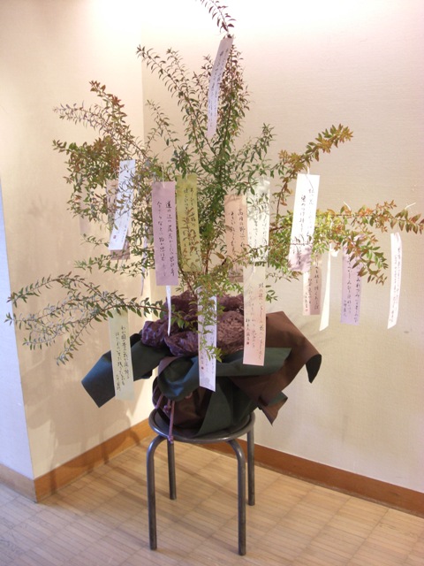 ���t�W�̉ԁX