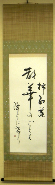 �x����������